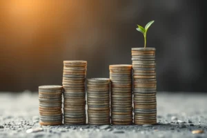 Borrow Money Instantly